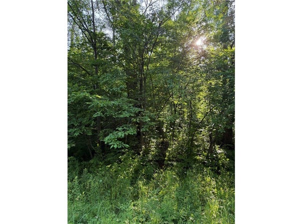 0 N Mack Lake Road, Trego, WI 54888