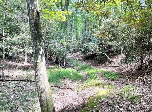 Buck Drive, Hays, NC 28649