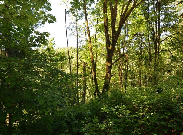 2429 Archwood DR, Longview, WA 98632