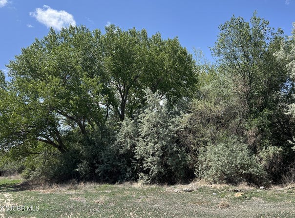Xx PALOMINO, Bloomfield, NM 87413
