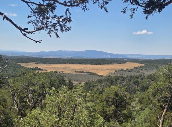 Lot 16 Unit 4, Tierra Amarilla, NM 87575