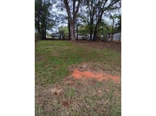 1005 W South St. Street, Palestine, TX 75801