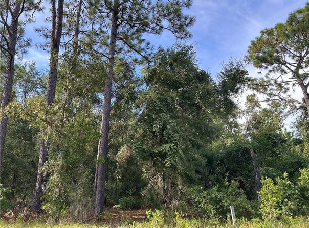 Tbd NE 11TH PLACE, WILLISTON, FL 32696