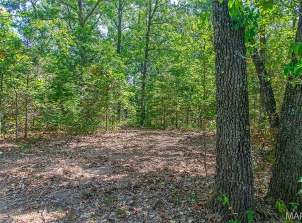 30801 Godt Road, Wright City, MO 63390