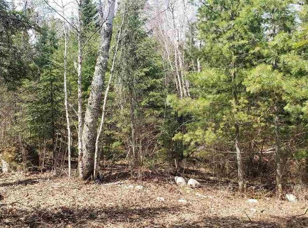 TBD Muskego Point, Cook, MN 55723