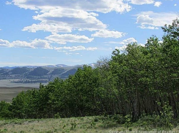 429 CARACARA LANE, Como, CO 80456