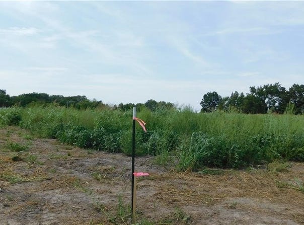 1171 Lot 6 Road, Holden, MO 64040