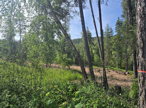 277 Seville Lane, Coram, MT 59913