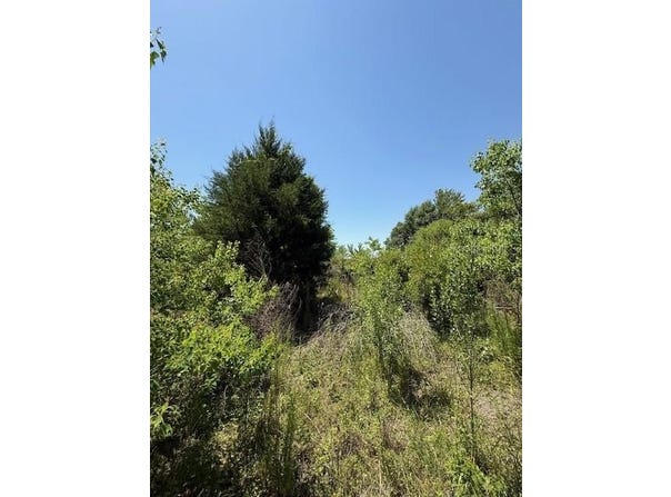 17918 NE US HIGHWAY 301, WALDO, FL 32694