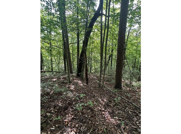 E Obey Lane lot: 371, Wilder, TN 38589