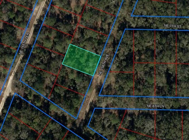 000 NE 156TH AVENUE, WILLISTON, FL 32696