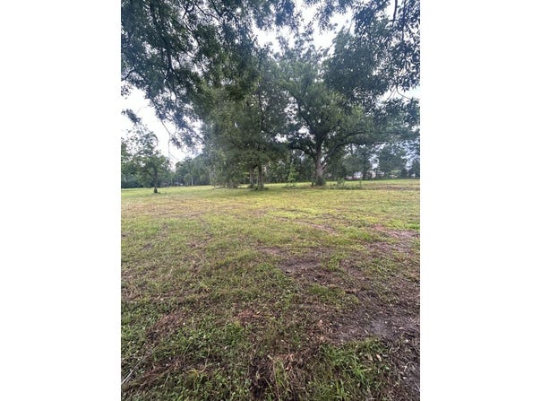 0 Capace Rd Lot 2, Independence, LA 70443