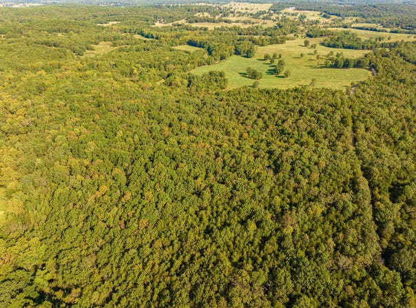 0 SILVER SPRINGS, Evening Shade, AR 72532