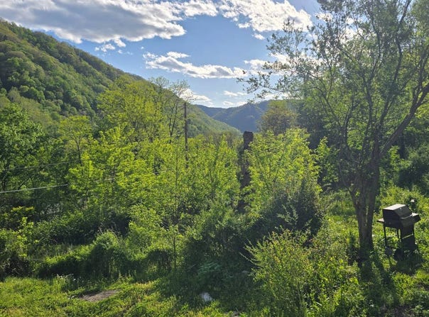 4893 Stanaford Rd, Prince, WV 25907