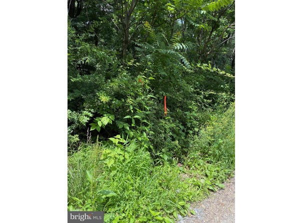 81 & 82 CABIN ROAD, AUGUSTA, WV 26704