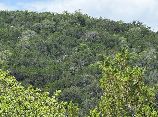159 Valley Vista lot: 159, Tarpley, TX 78883