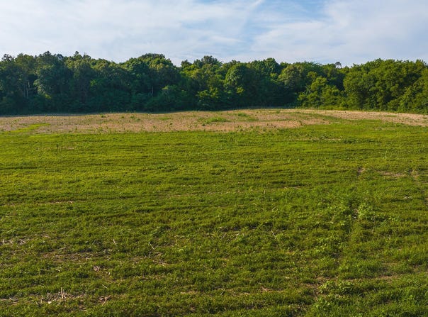 14460 Warrensburg Road, Midway, TN 37809