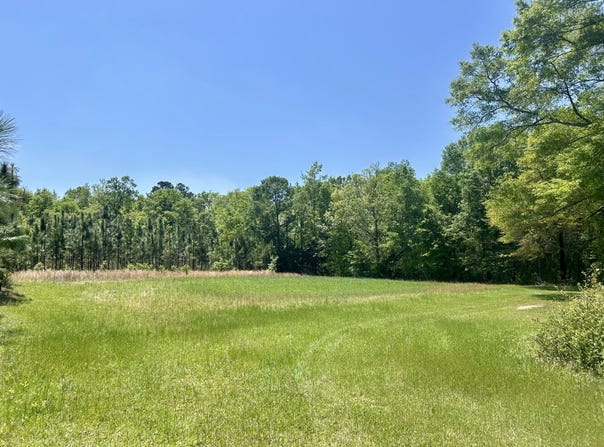 291 Pine Trail, Evergreen, AL 36401