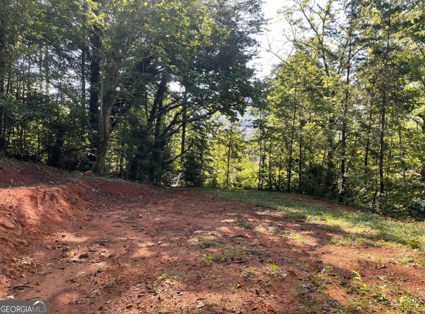0 Green, Clayton, GA 30525
