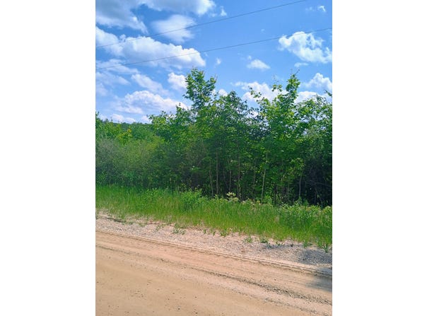 000 Pontius Road SE, Kalkaska, MI 49646