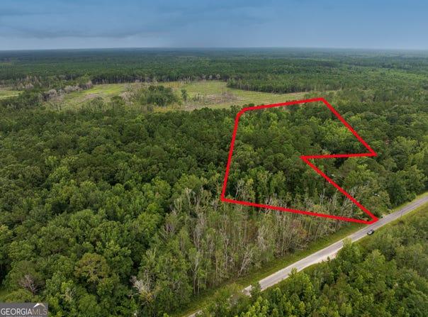 1243 Credit Hill, Townsend, GA 31331