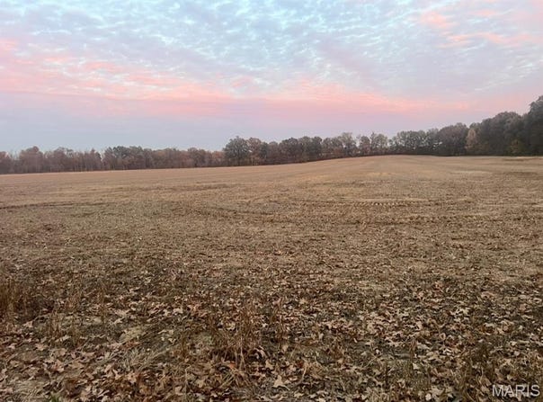 0 County Road 237, Bloomfield, MO 63825