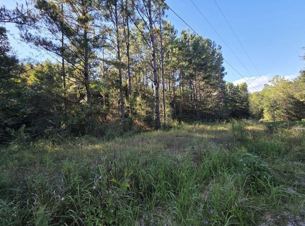 NHN Parcel 5 Redfish Rd, Poplarville, MS 39470