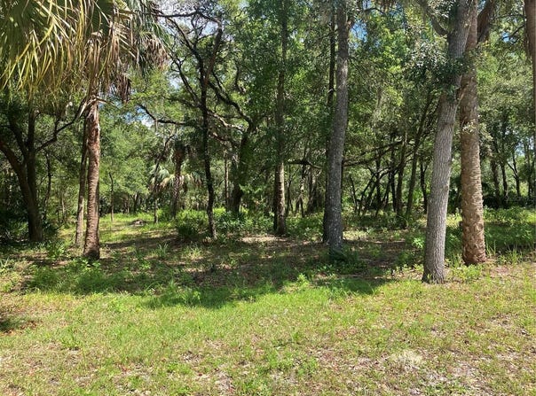 12350 W RIVERWOOD DRIVE, CRYSTAL RIVER, FL 34428
