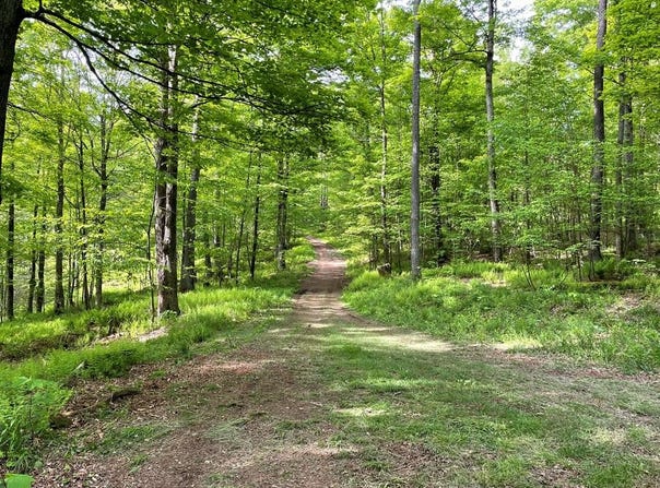 00 Mystery Mountain Lane, Coudersport, PA 16915