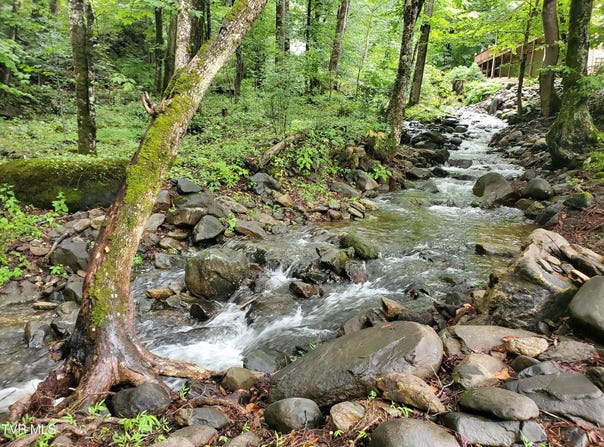206 Toms Creek Drive, Roan Mountain, TN 37687