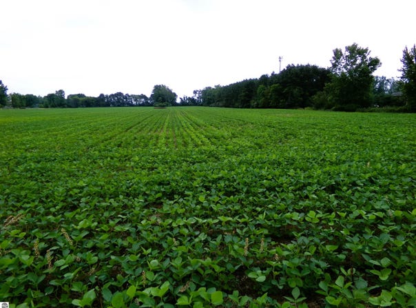 TBD Garfield Road, Saginaw, MI 48603