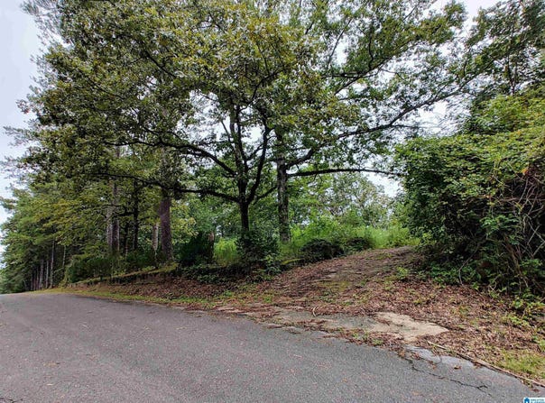 160 CIRCLE DRIVE, PELL CITY, AL 35128