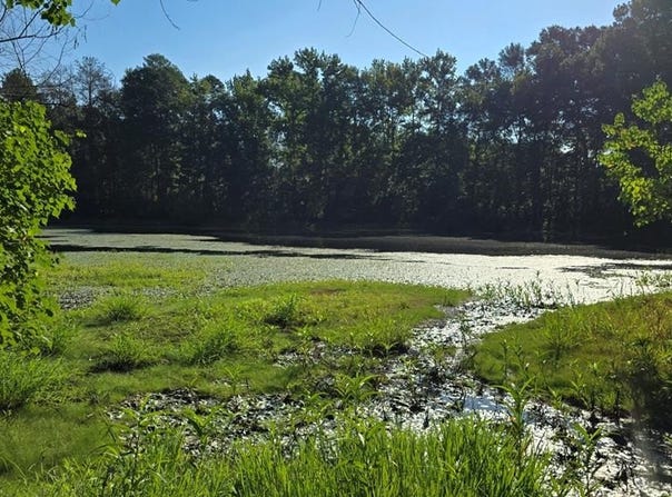 000 Hwy 500, Brookhaven, MS 39601