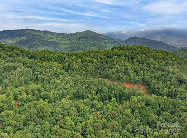 21 Long Winding Road, Sylva, NC 28779