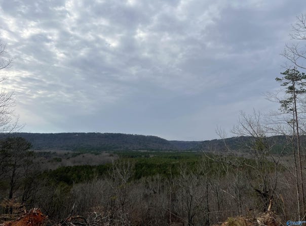 1450 County Road 137, Cedar Bluff, AL 35959
