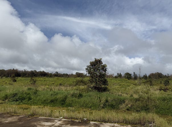 WAILANI NUI DR, Mountain View, HI 96771