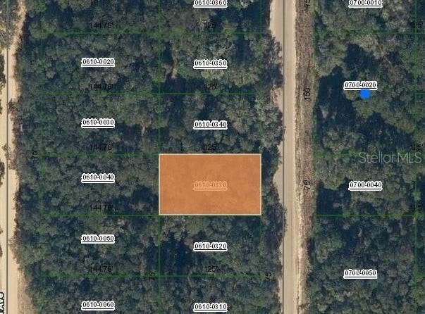 ANNETTE AVENUE, INTERLACHEN, FL 32148