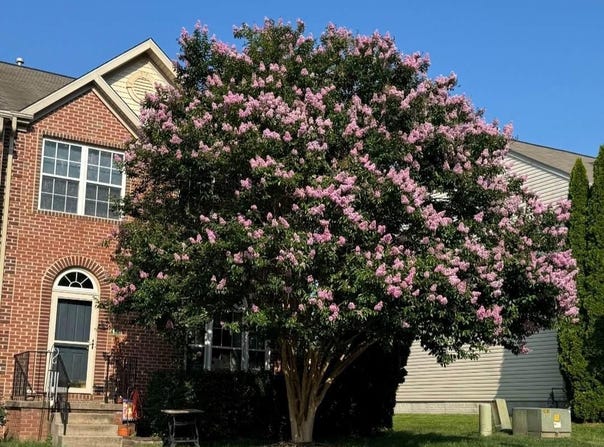 638 BERWICK COURT, ABINGDON, MD 21009