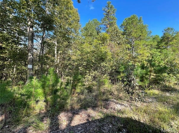 4 Woodland Heights W, Poplar Bluff, MO 63901