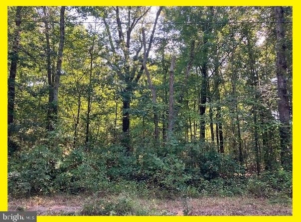 UPLAND Drive, BUSHWOOD, MD 20618