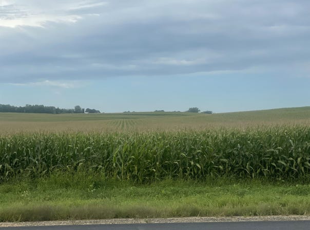44.55 Acres Highway 60, Arlington, WI 53555