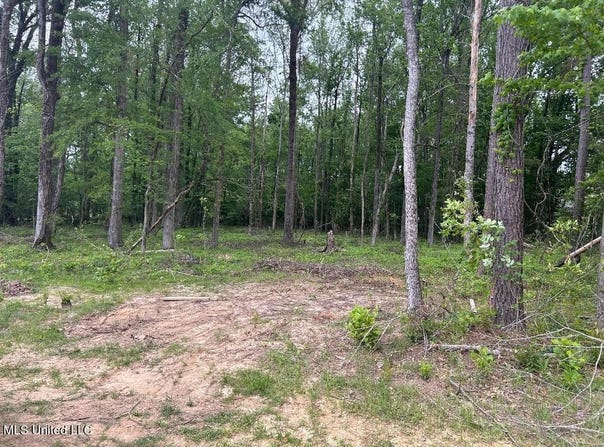 Bridgewater Bend Bend, Ridgeland, MS 39157