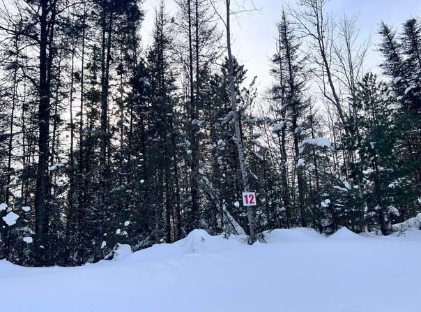 BUTTERNUT CIR lot: 12, Eagle River, WI 54521