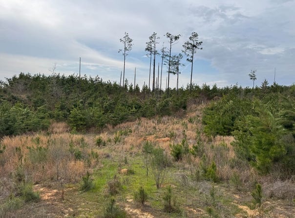 County Road 94, Grenada, MS 38901