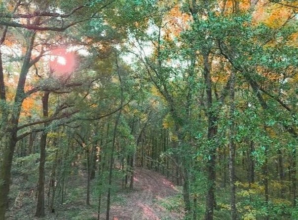 County Road 140, Selma, AL 36709