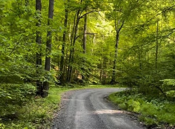 3 HARDSCRABBLE ROAD, LINDEN, VA 22642