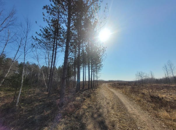 Near KNOWLES RD, Loretta, WI 54896