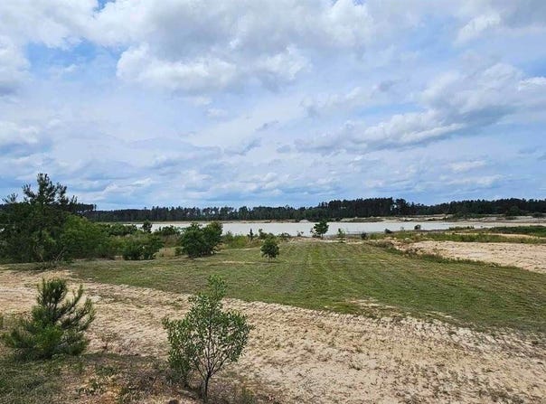 3270 Nesom Rd, Denham Springs, LA 70706