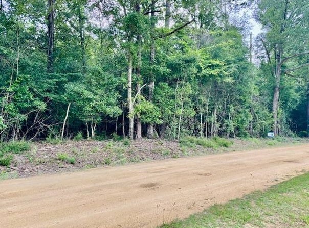 0 Jordon Grove Rd, Dozier, AL 36028