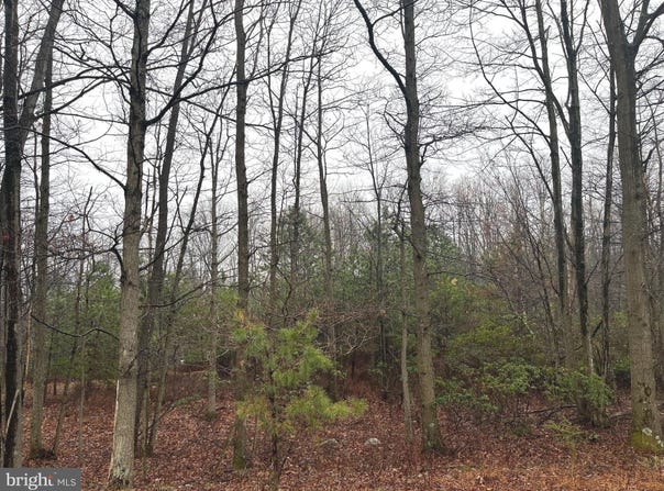55 CRIMSON WAY, BIGLERVILLE, PA 17307